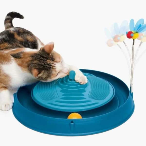 Katteleke Catit