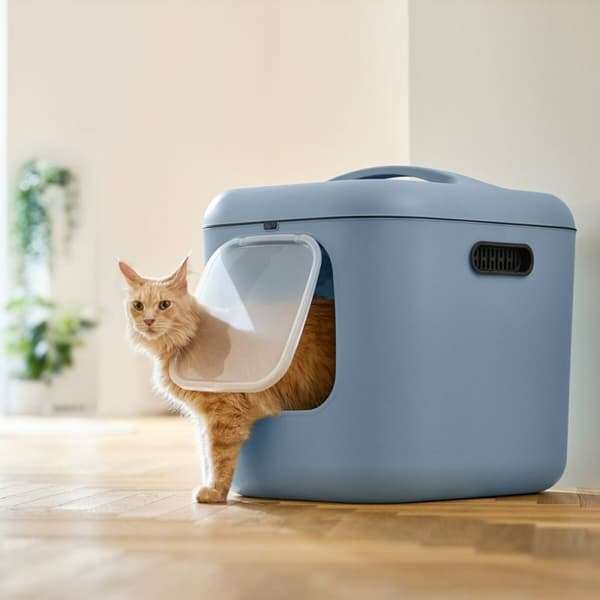Kattebakke Rotho Biala XL Blå Plastik