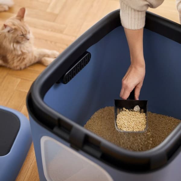 Kattebakke Rotho Biala XL Blå Plastik