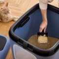 Miniatyrbillede 7 af 7: Kattebakke Rotho Biala XL Blå Plastik