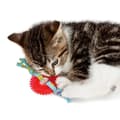 Miniatyrbild 3 av 3: Tuggleksak - PETSTAGES - Kitty Chew Wheel - Tandvård - Kattmynta - Solid tyg