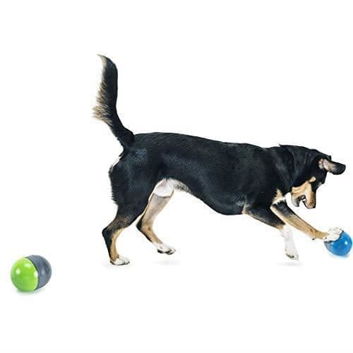 Elektronisk leksak - PETSAFE - Ricochet - Interaktiv - För medelstor hund - Inomhusbruk