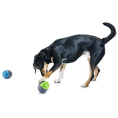 Elektronisk leksak - PETSAFE - Ricochet - Interaktiv - För medelstor hund - Inomhusbruk