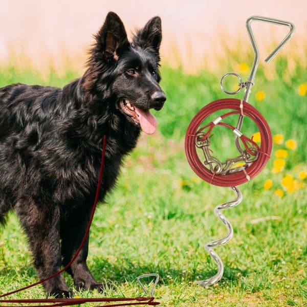 Hundkrok med eller utan tråd Röd