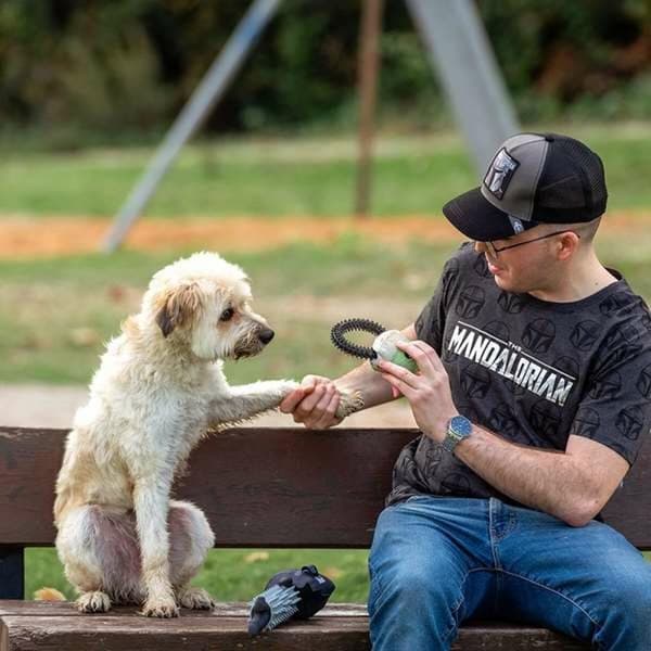 Legetøj til hunde The Mandalorian