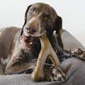 Miniatyrbild 3 av 5: Hundtuggeben med bacon- och kycklingsmak
