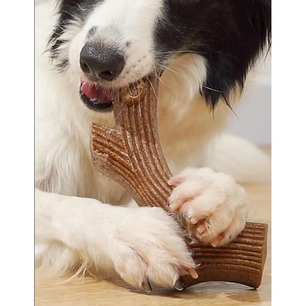 Hundtuggben med nötköttssmak – robust och tandrengörande