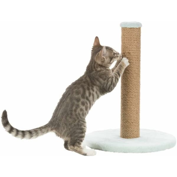 Kradsebrætter til katte Trixie Mint