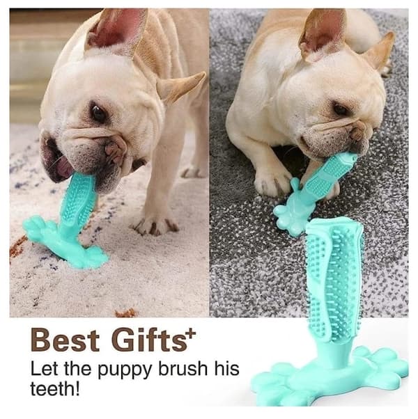 Tuggummi leksaker för hundar, hundtandborste, tandrengöring leksak, hund husdjur tandborstar, borstning stick