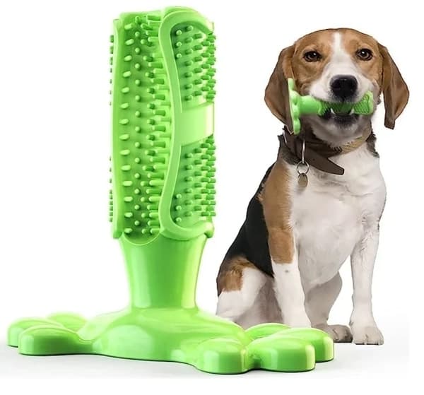 Tuggummi leksaker för hundar, hundtandborste, tandrengöring leksak, hund husdjur tandborstar, borstning stick