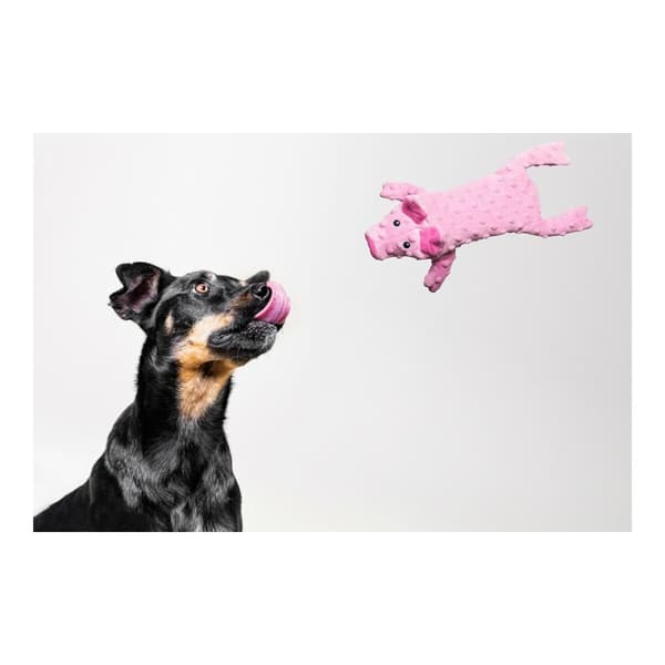 Hundleksak Gloria Dogmonsters Rosa Gris 34 x 9 cm