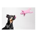 Miniatyrbild 3 av 6: Hundleksak Gloria Dogmonsters Rosa Gris 34 x 9 cm