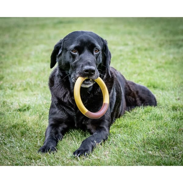 Tuggleksak för hundar Nylabone Ring Gul Hamburgare L