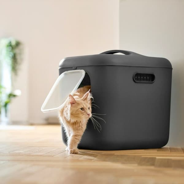 Kattebakke Rotho Biala XL anthracite Antracit Plastik