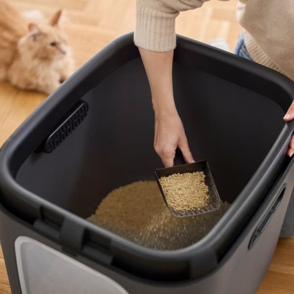 Kattebakke Rotho Biala XL anthracite Antracit Plastik