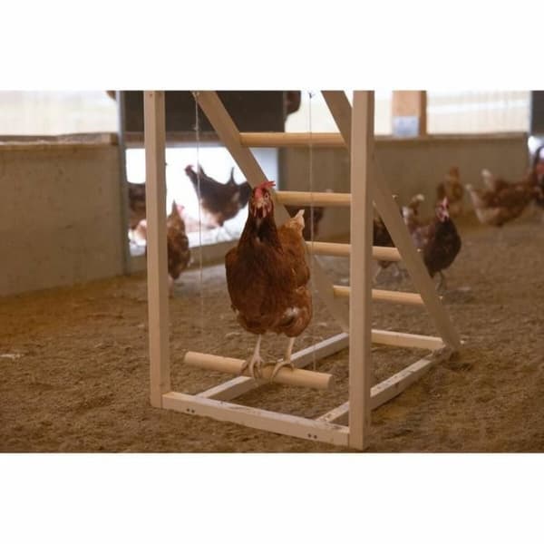 Trappe Kerbl Beige 85 x 55 x 76 cm Høne