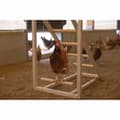 Miniatyrbillede 2 af 4: Trappe Kerbl Beige 85 x 55 x 76 cm Høne