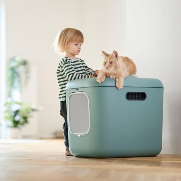 Kattlåda Rotho Grön Plast