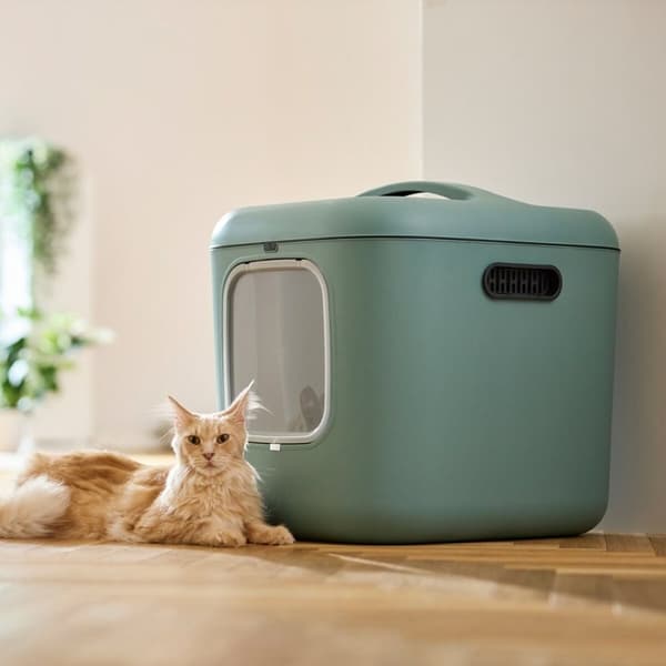 Kattlåda Rotho Grön Plast