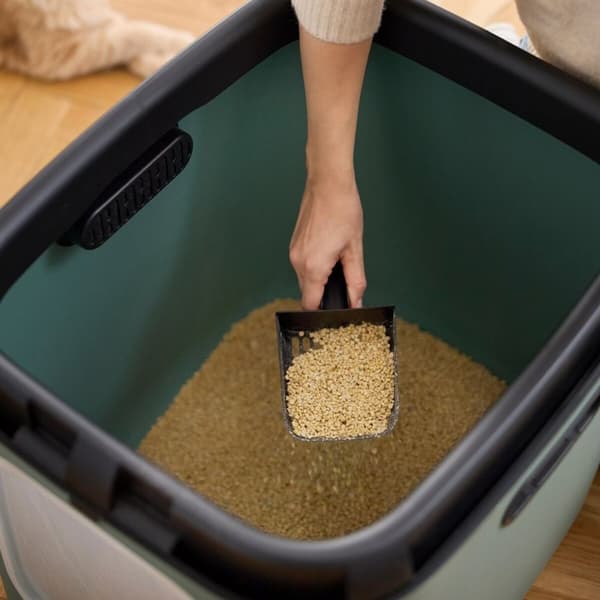 Kattlåda Rotho Grön Plast