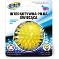 Pikkukuva 2 / 4: Pallo Hilton Smart 5 cm LED