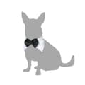 Miniatyrbild 3 av 3: Hundkostym Fluga M