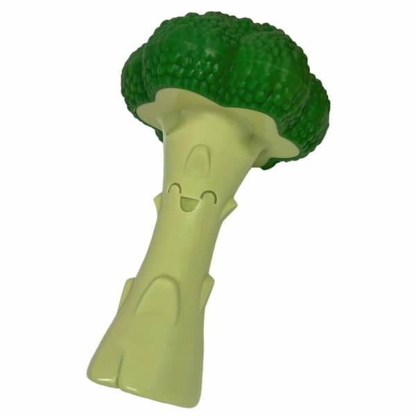 Hundleksak Nylabone Grön Konstgjord L