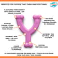 Pikkukuva 3 / 4: Koiran purulelu Nylabone WISHBONE Pinkki Kana XS