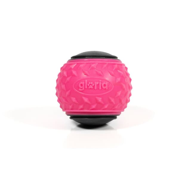 Lemmikin pallo Gloria PLAY AND RUN Pinkki TPR M 6,35 cm 2 osaa