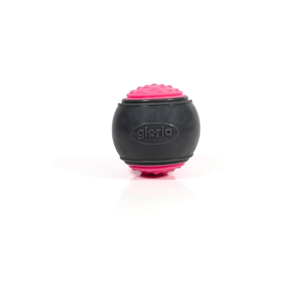 Lemmikin pallo Gloria PLAY AND RUN Pinkki TPR M 6,35 cm 2 osaa