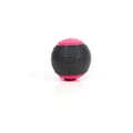 Pikkukuva 5 / 6: Lemmikin pallo Gloria PLAY AND RUN Pinkki TPR M 6,35 cm 2 osaa