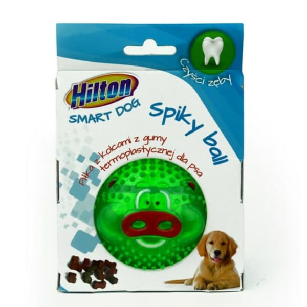 Tuggleksak för hundar Hilton Gummi