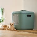 Miniatyrbillede 5 af 7: Kattebakke Rotho Grøn Plastik