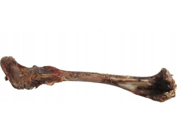 Arami ARAMI. HIRVENLUU
