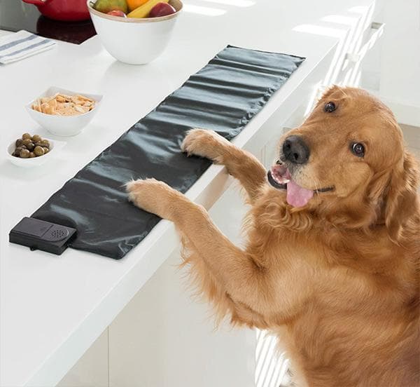 Träningsmatta för Hunden / Hund / Husdjur Hundleksak
