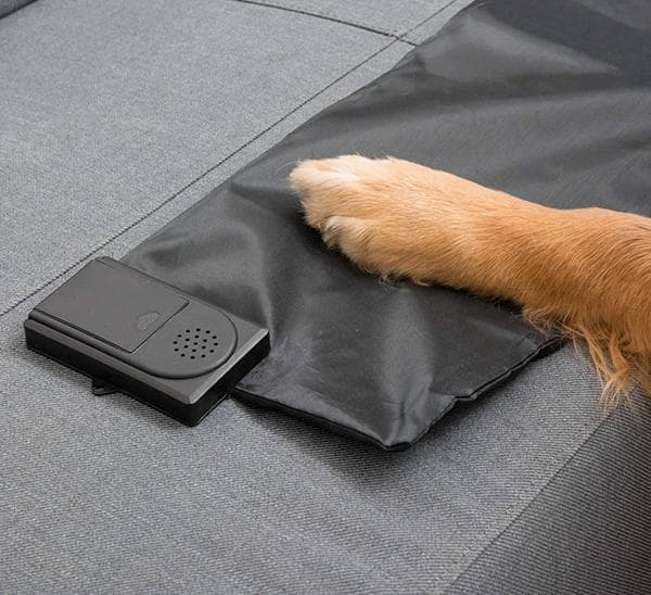 Träningsmatta för Hunden / Hund / Husdjur Hundleksak