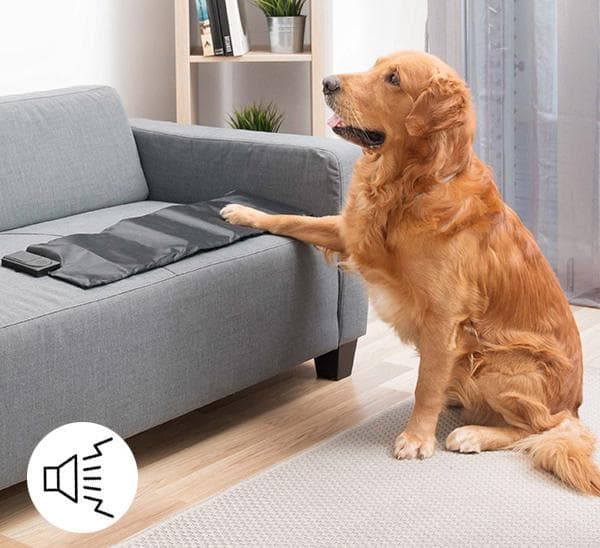 Träningsmatta för Hunden / Hund / Husdjur Hundleksak