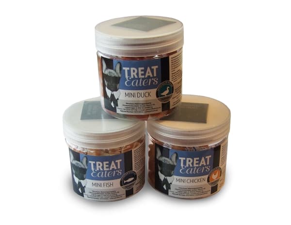 Treats Mini Fish 70G