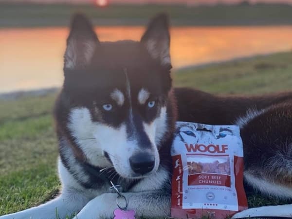 WOOLF Soft Beef chunkies - godbidder til hunde og katte - 100g