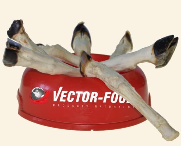 Vector-Food "York" lammstek 1 st