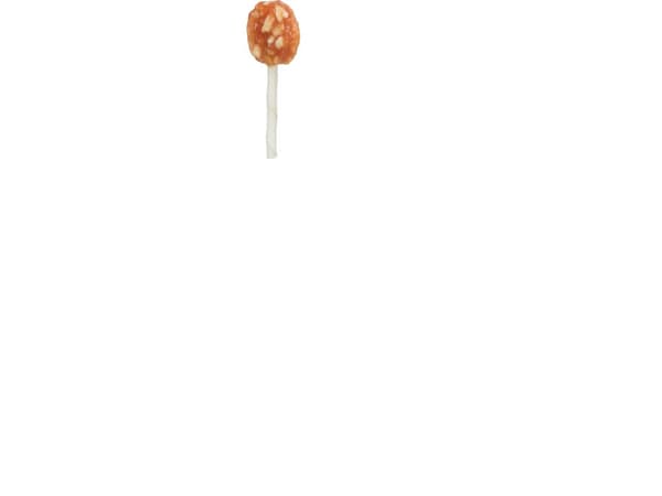 Trixie Denta Fun, slikkepind m. kylling og ost, bulk, 10 cm, 20 g - (50 pk/ps)