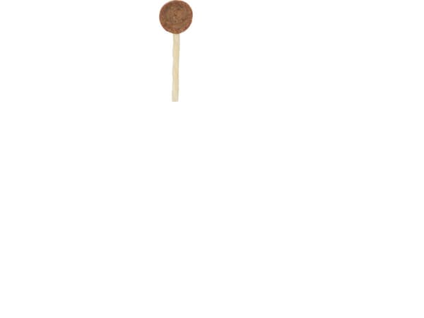 Trixie PREMIO Lollipop, bulk, 8 cm, 10 g - (150 pk/ps)
