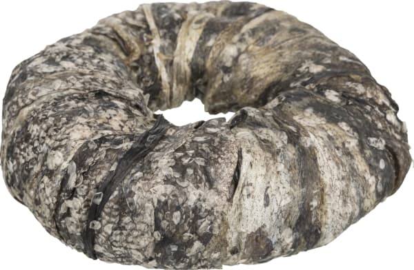 Trixie Denta Fun tyggering med fisk, bulk, 110 g - (50 pk/ps)