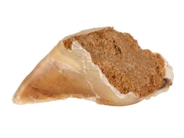 Trixie Klov med kødpostejfyld - (25 pk/ps)