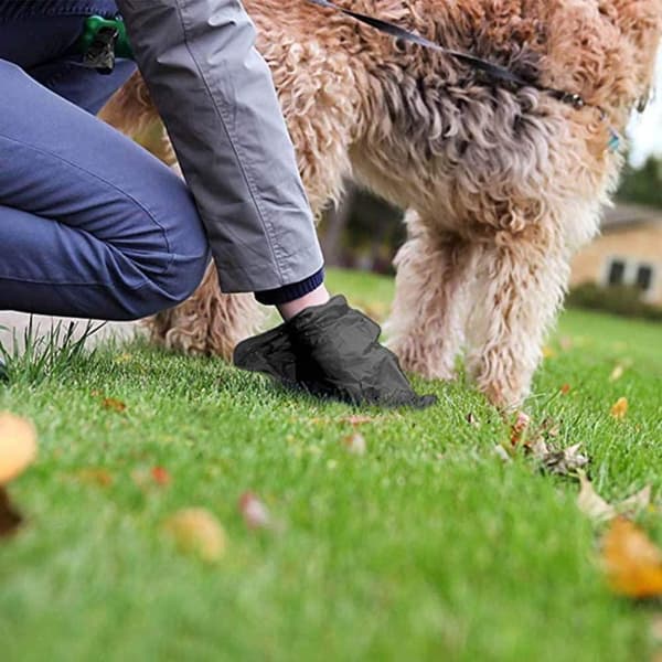 Hundetaske med holdere - sort