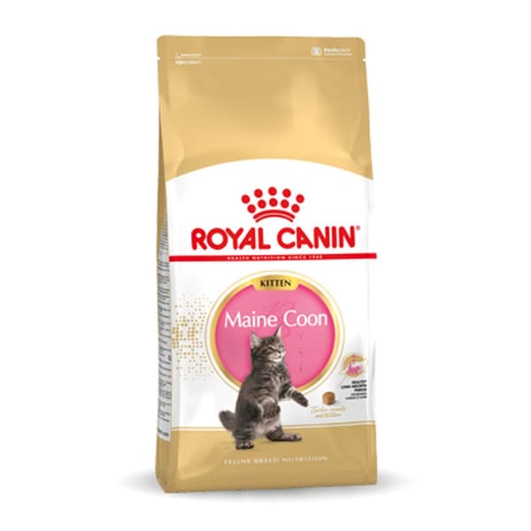 Kattmat Royal Canin Maine Coon Kitten 10 kg