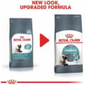 Miniatyrbild 2 av 9: Kattmat Royal Canin Vuxen Kyckling Majs Grönsak Fåglar 10 kg