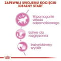 Miniatyrbild 3 av 5: Kattmat Royal Canin Kitten Jelly Kyckling 85 g