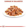 Miniatyrbild 4 av 5: Kattmat Royal Canin Kitten Jelly Kyckling 85 g