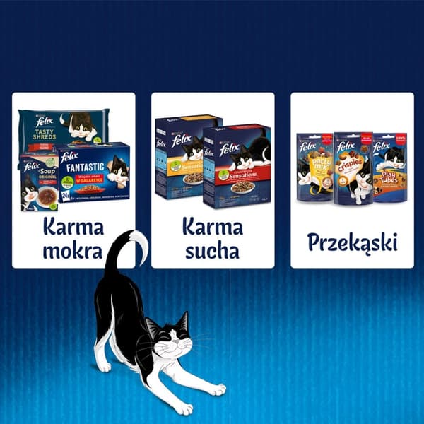 FELIX Fantastic Fish - kissan märkäruoka - 12x85g